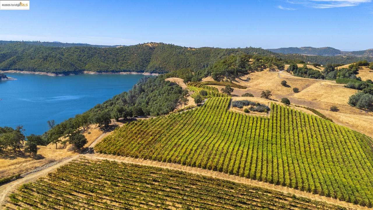 8055 Airola Rd - Photo 1