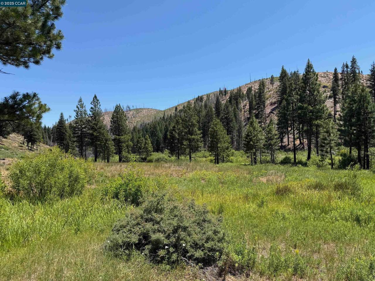 0000 Ohio Valley - Photo 1