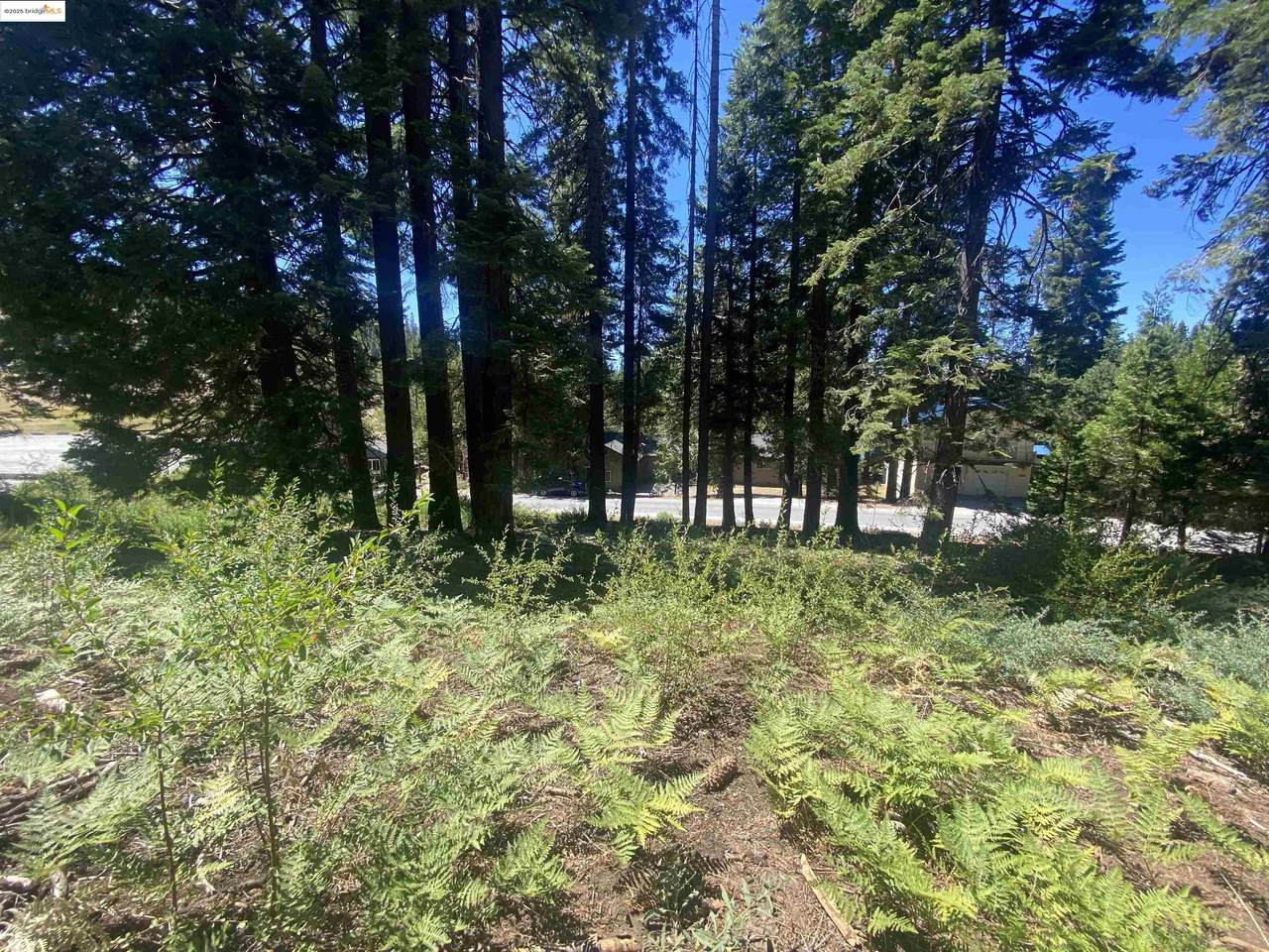 33994 Leland Meadow Rd - Photo 1