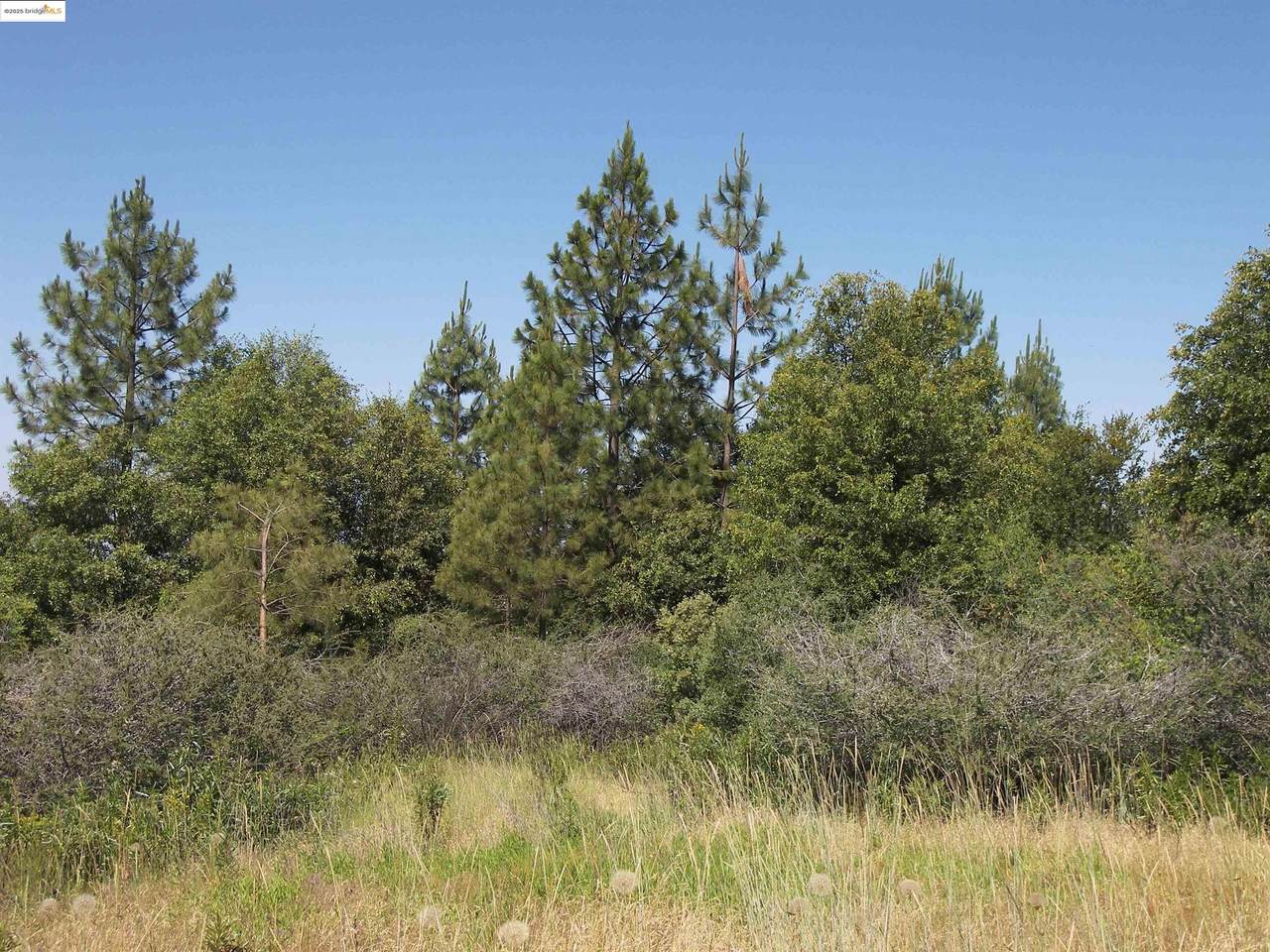 19290 Yosemite Springs Rd - Photo 1