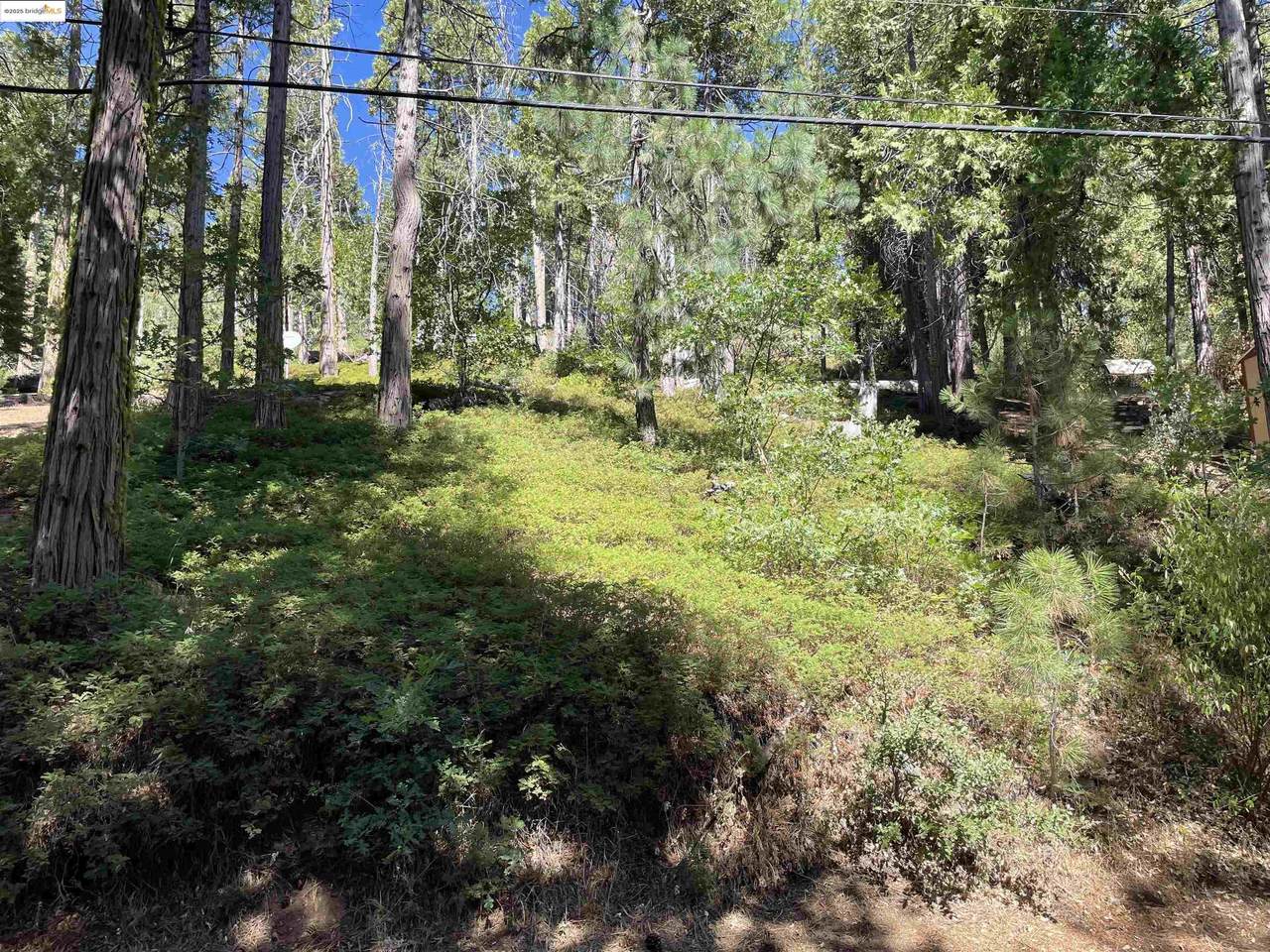 25476 Rebekah Rd - Photo 1