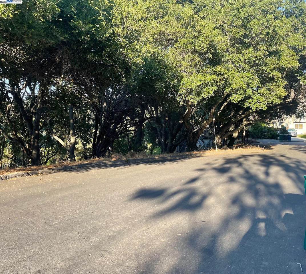 25265 Morse Ct - Photo 1