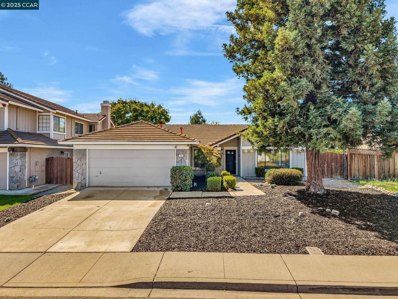 2404 Whitetail Dr - Photo 1