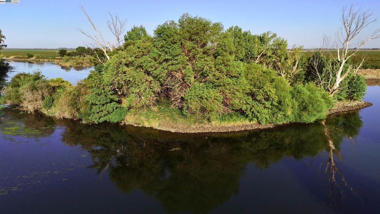 Goldrift Island - Photo 1