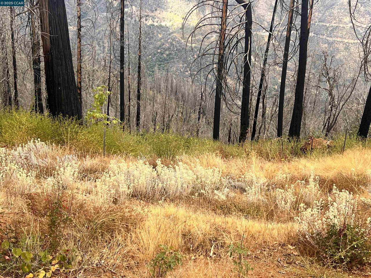 4025 Volcanoville Rd - Photo 1