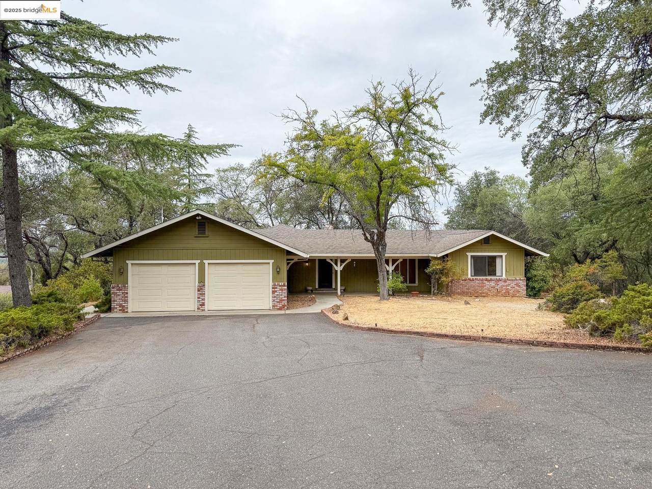 20210 Overholtzer Rd - Photo 1