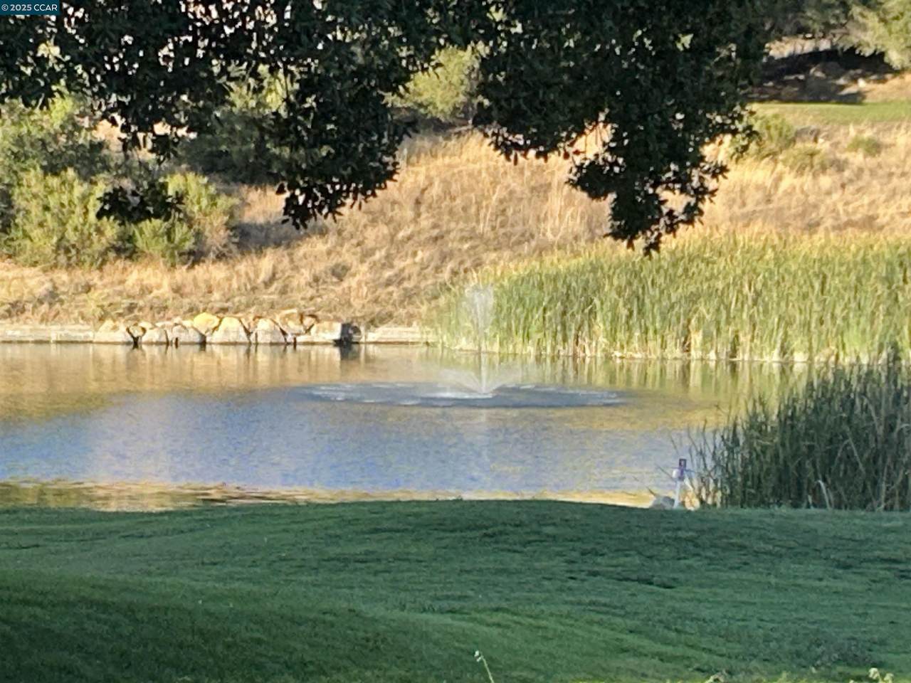 1921 Eagle Peak - Photo 1