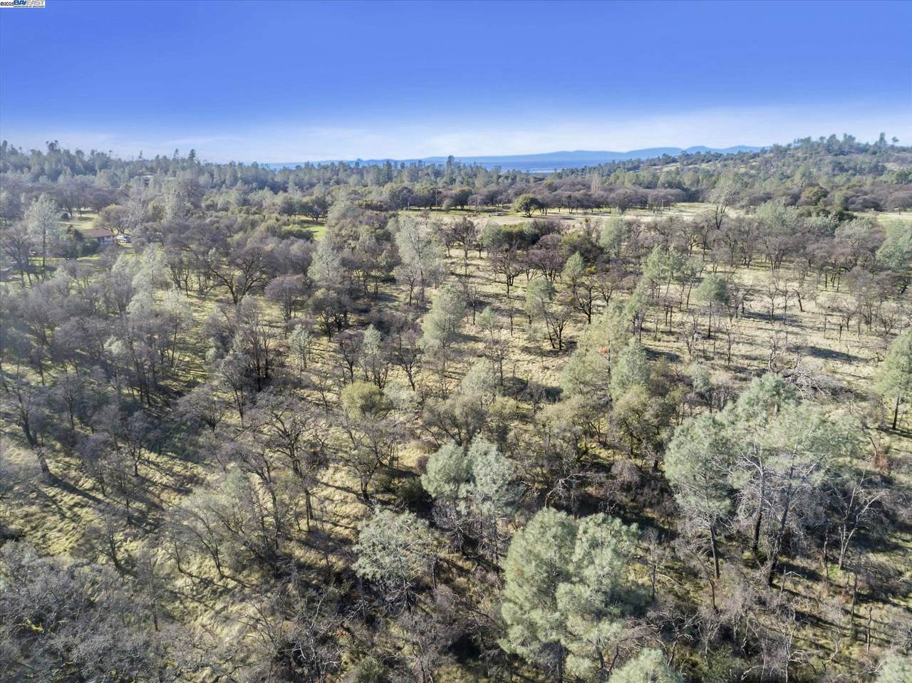 14011 Neptune Ln - Photo 1