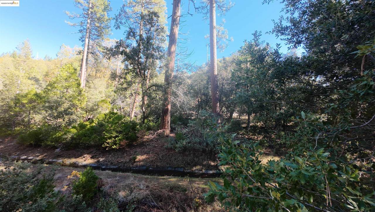 22443 Broken Bough Ln - Photo 1