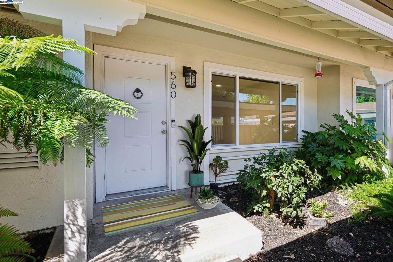 560 La Copita Ct - Photo 1