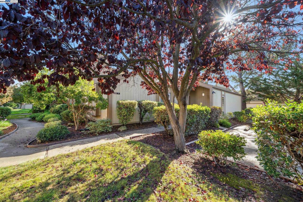 3201 Fiji Lane - Photo 1