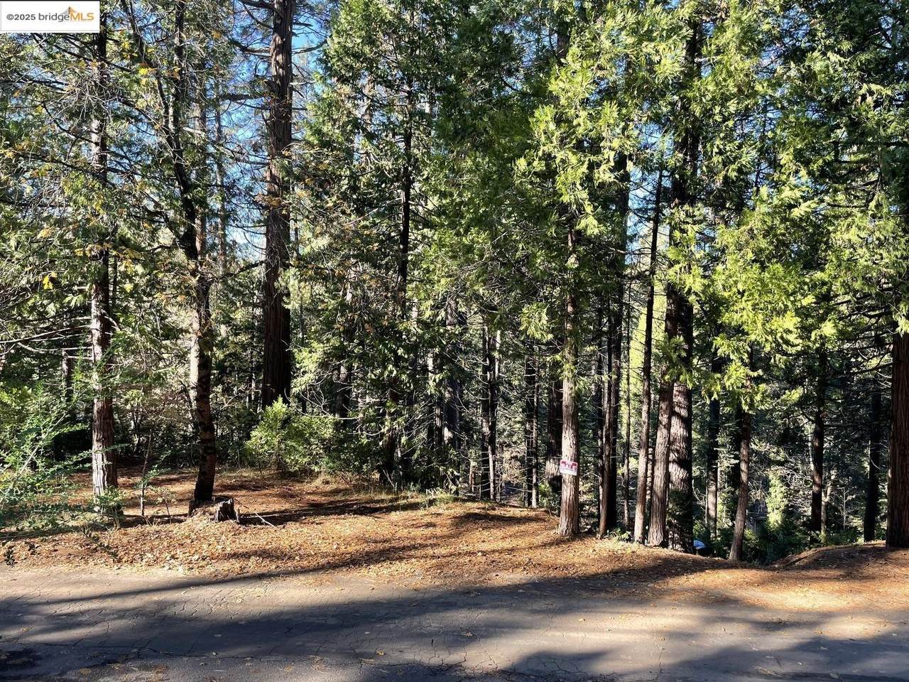 22447 Ponderosa Dr - Photo 1
