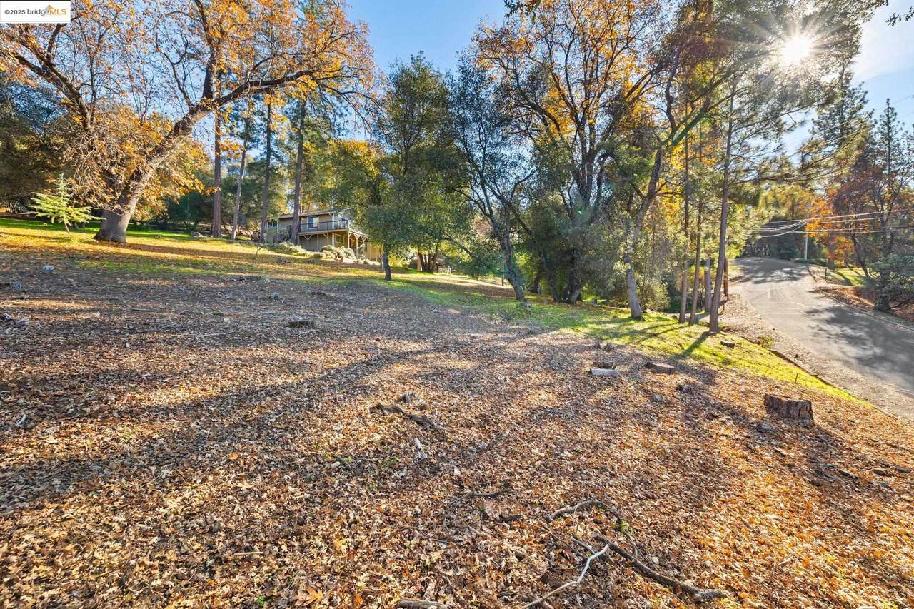 2/047 Gamble St - Photo 1