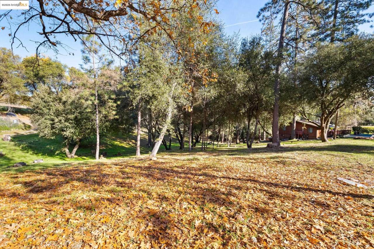 2/306 Ferretti Rd - Photo 1