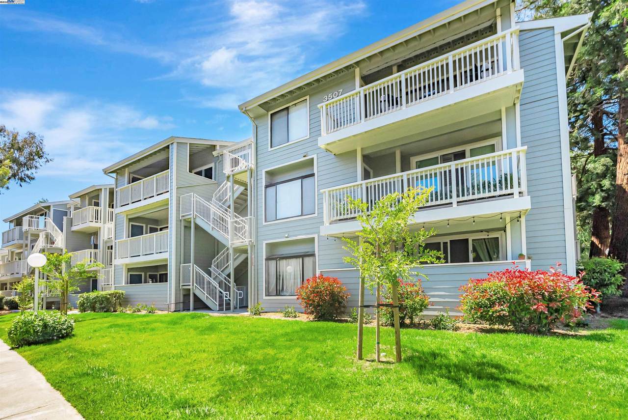 3507 Buttonwood Ter 203 - Photo 1