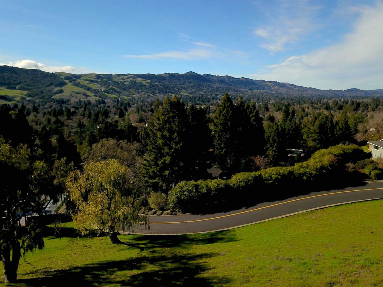 336 Merrilee Pl - Photo 1