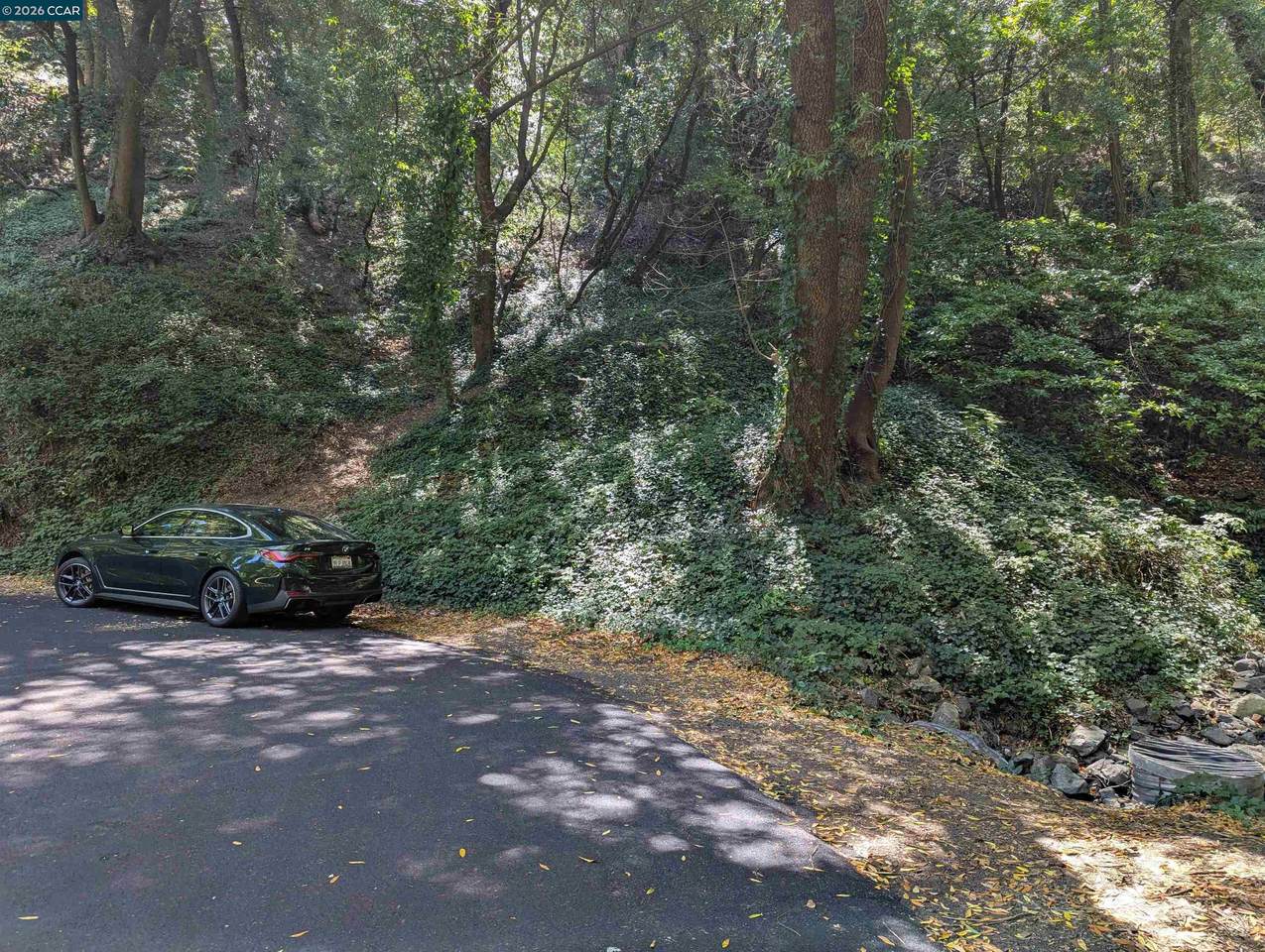 0 Ca&atilde;&plusmn;On Dr. - Photo 1