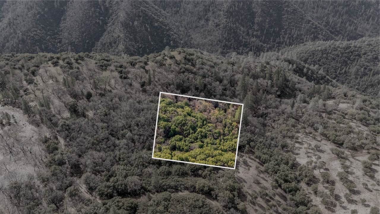 25555 Forest Rte 3N11 - Photo 1