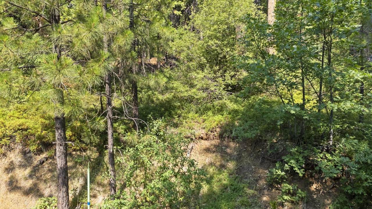 25352 Rebekah Road - Photo 1