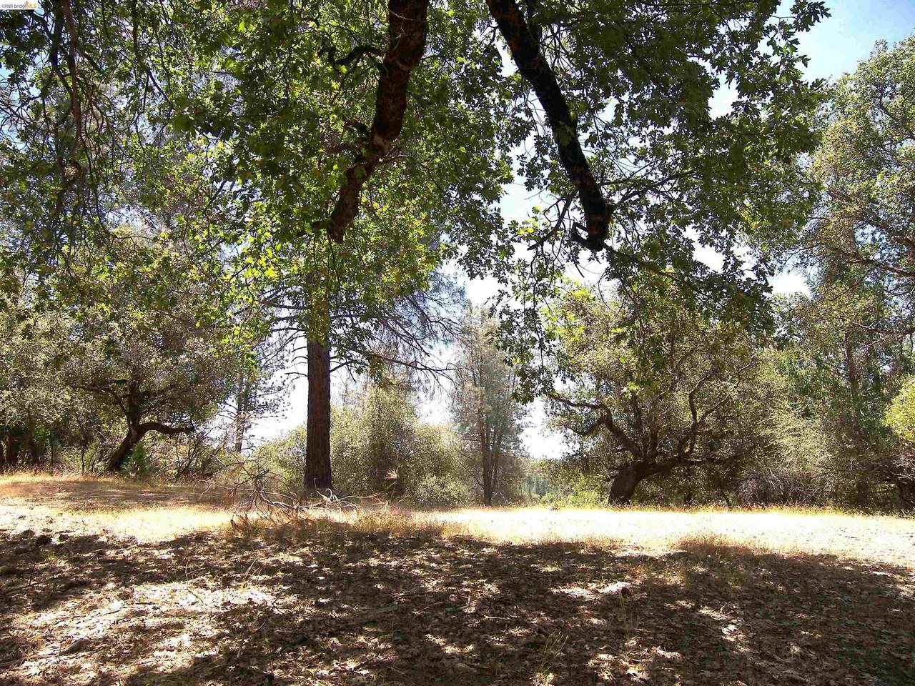 Point View Dr. - Photo 1