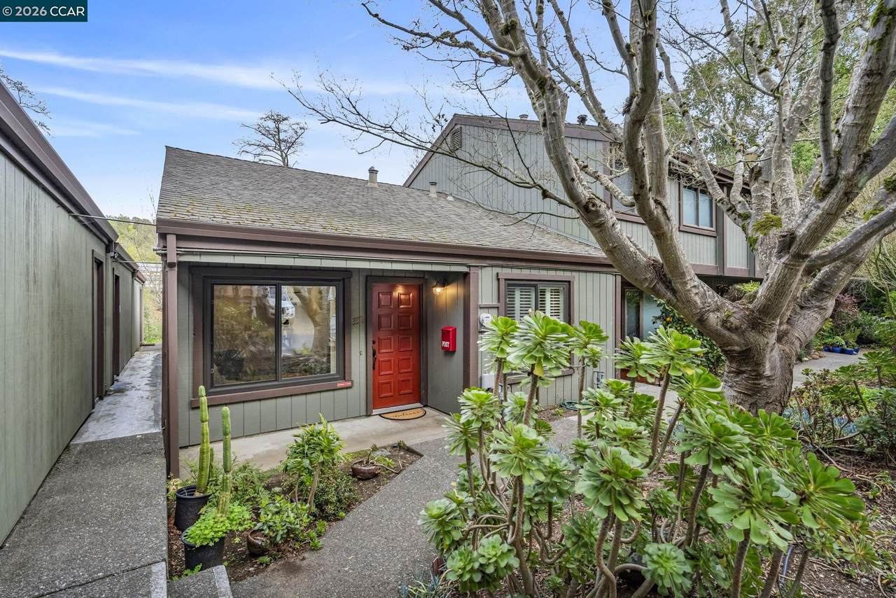 338 Olema Rd - Photo 1