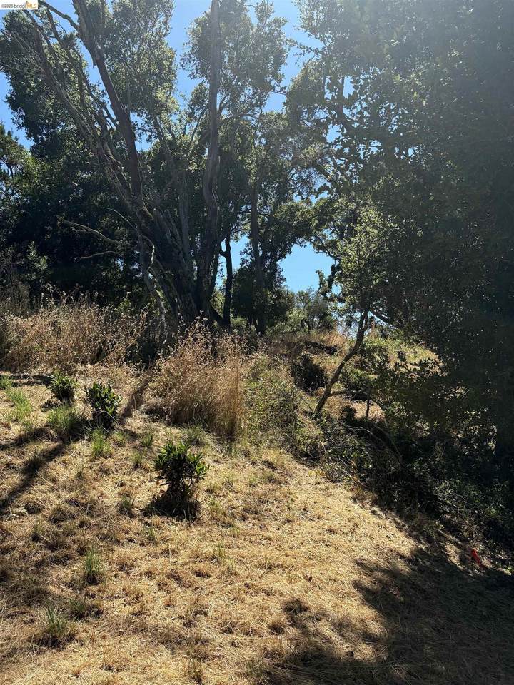 Spring Rd - Photo 1