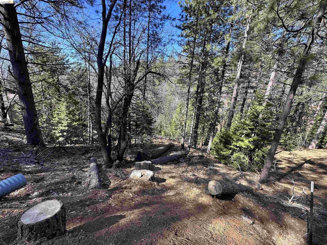 23956 Stable Rd - Photo 1