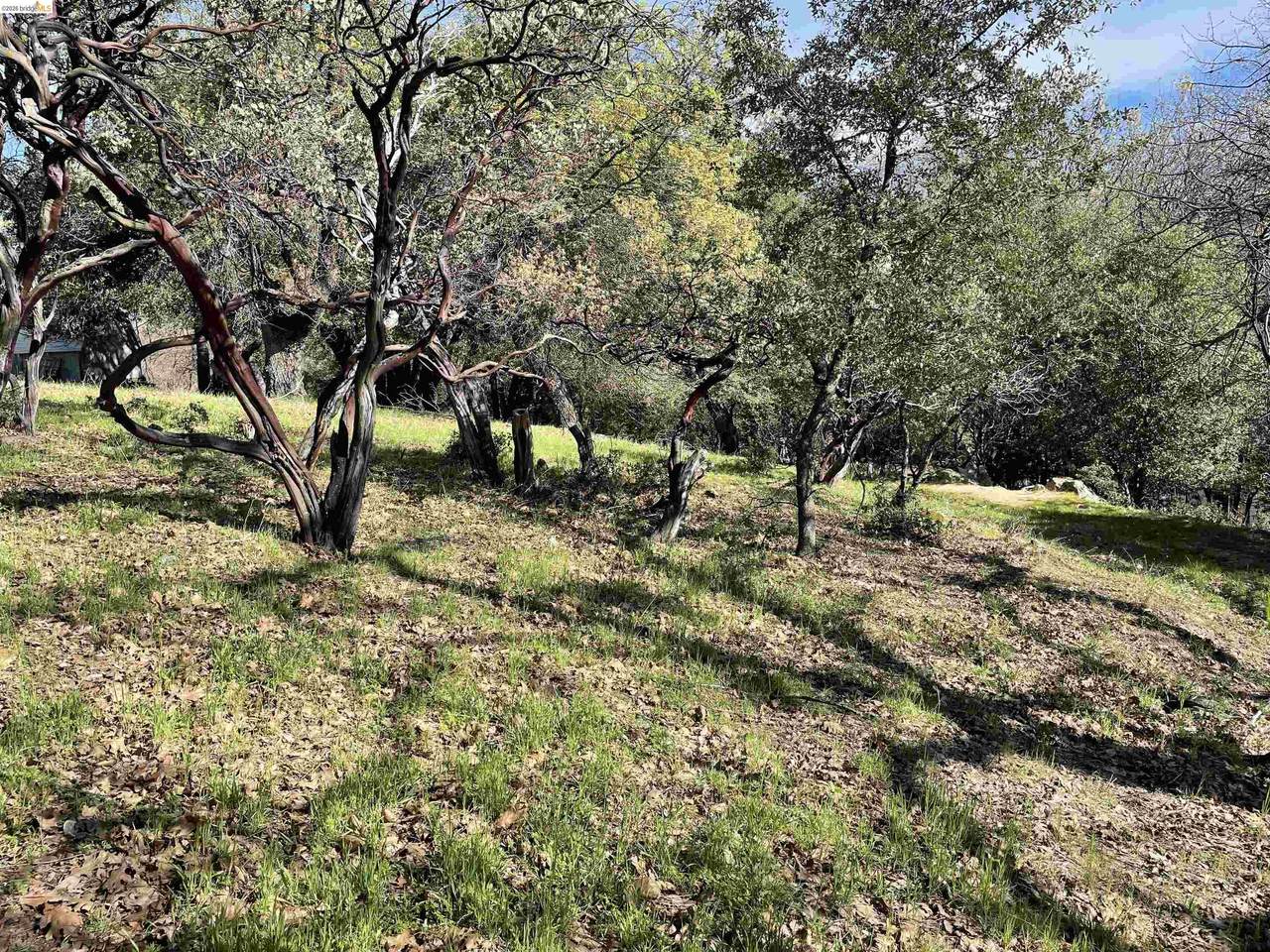 16505 Creekside Dr - Photo 1