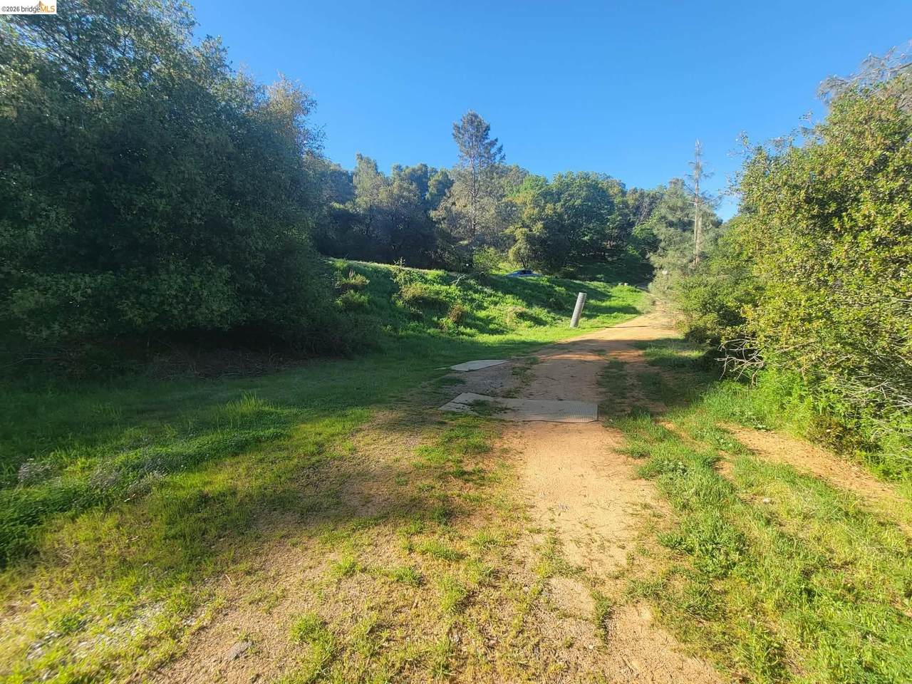 Lot 61 Red Heather Dr - Photo 1