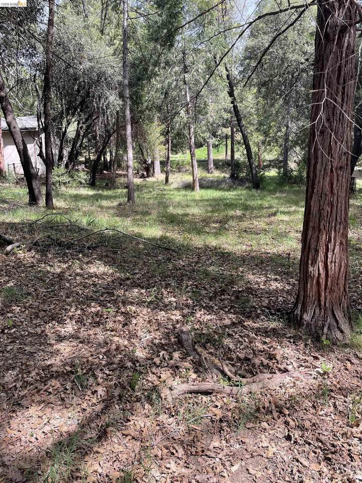 16594 Creekside Dr - Photo 1