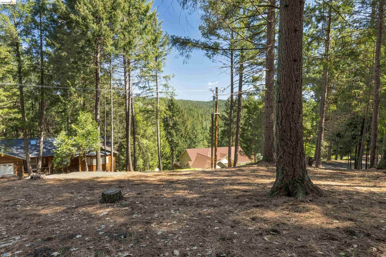 5651 Daisy Cir - Photo 1