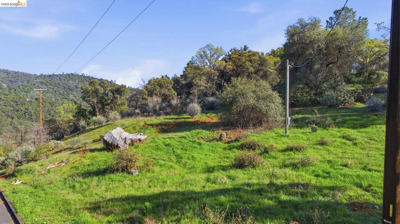 11676 Hemphill Ln - Photo 1