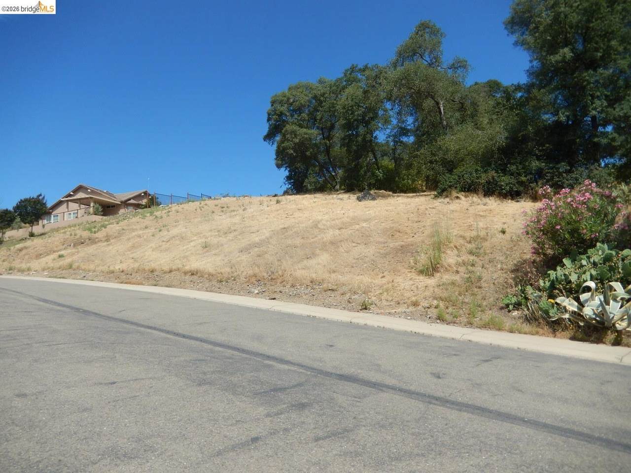 512 Crazy Horse Ct - Photo 1