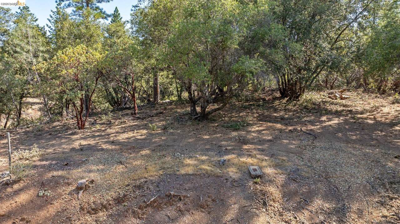 18465 Harper Road - Photo 1