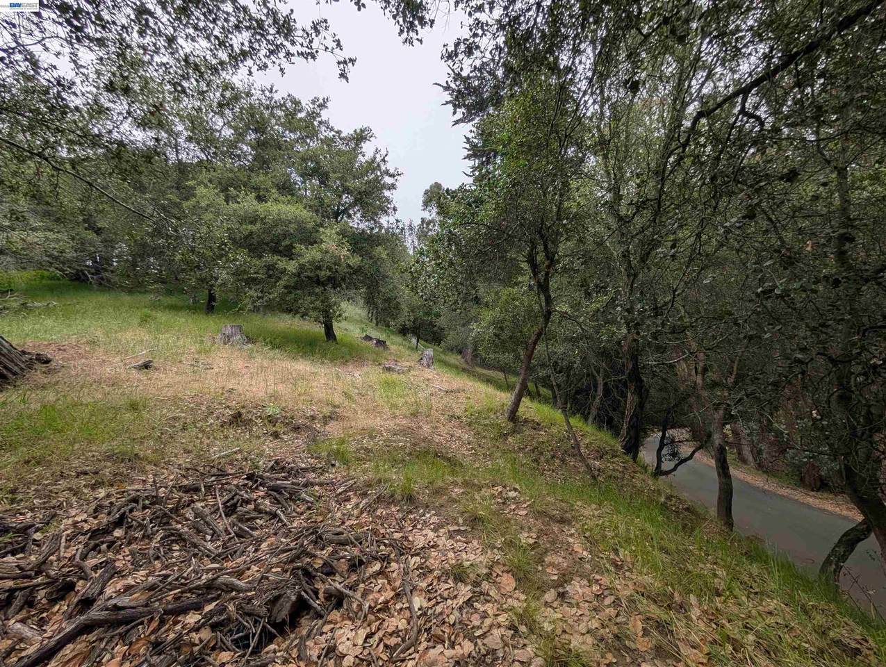 000 Girvin Drive - Photo 1