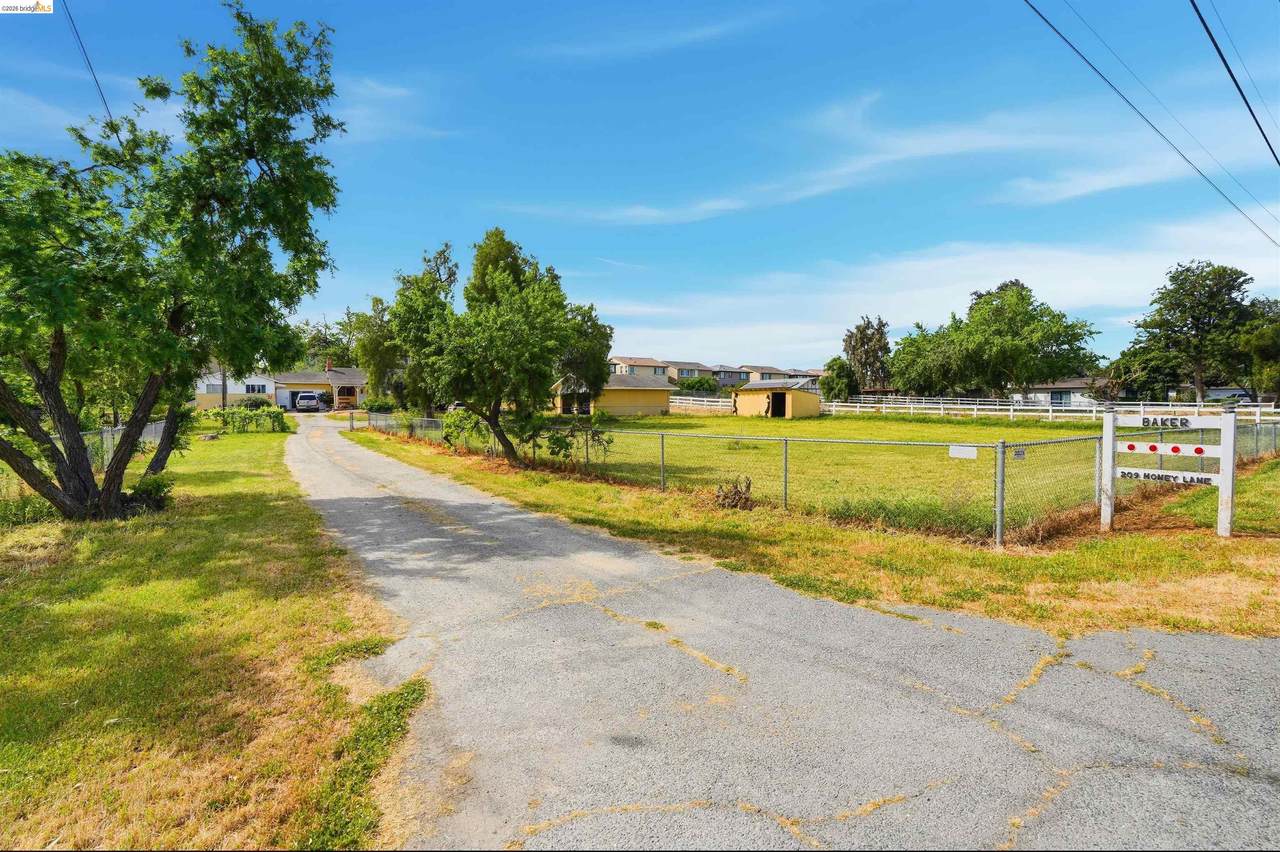 209 Honey Ln - Photo 1