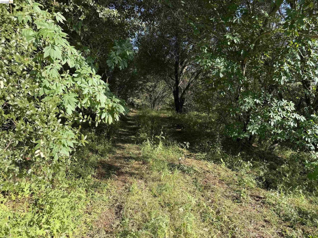 4320 Usona Rd - Photo 1