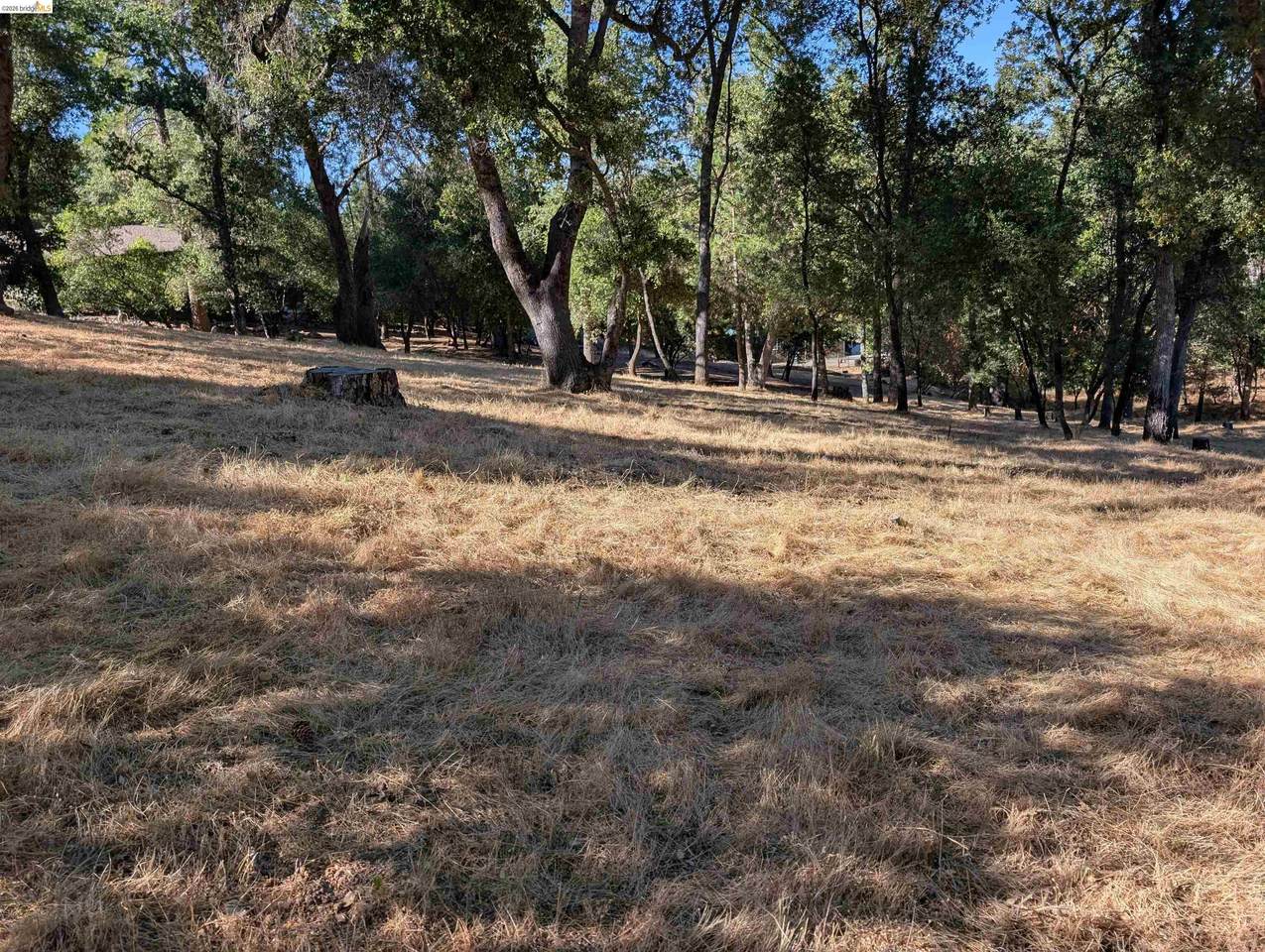 19055 Crocker Station - Photo 1