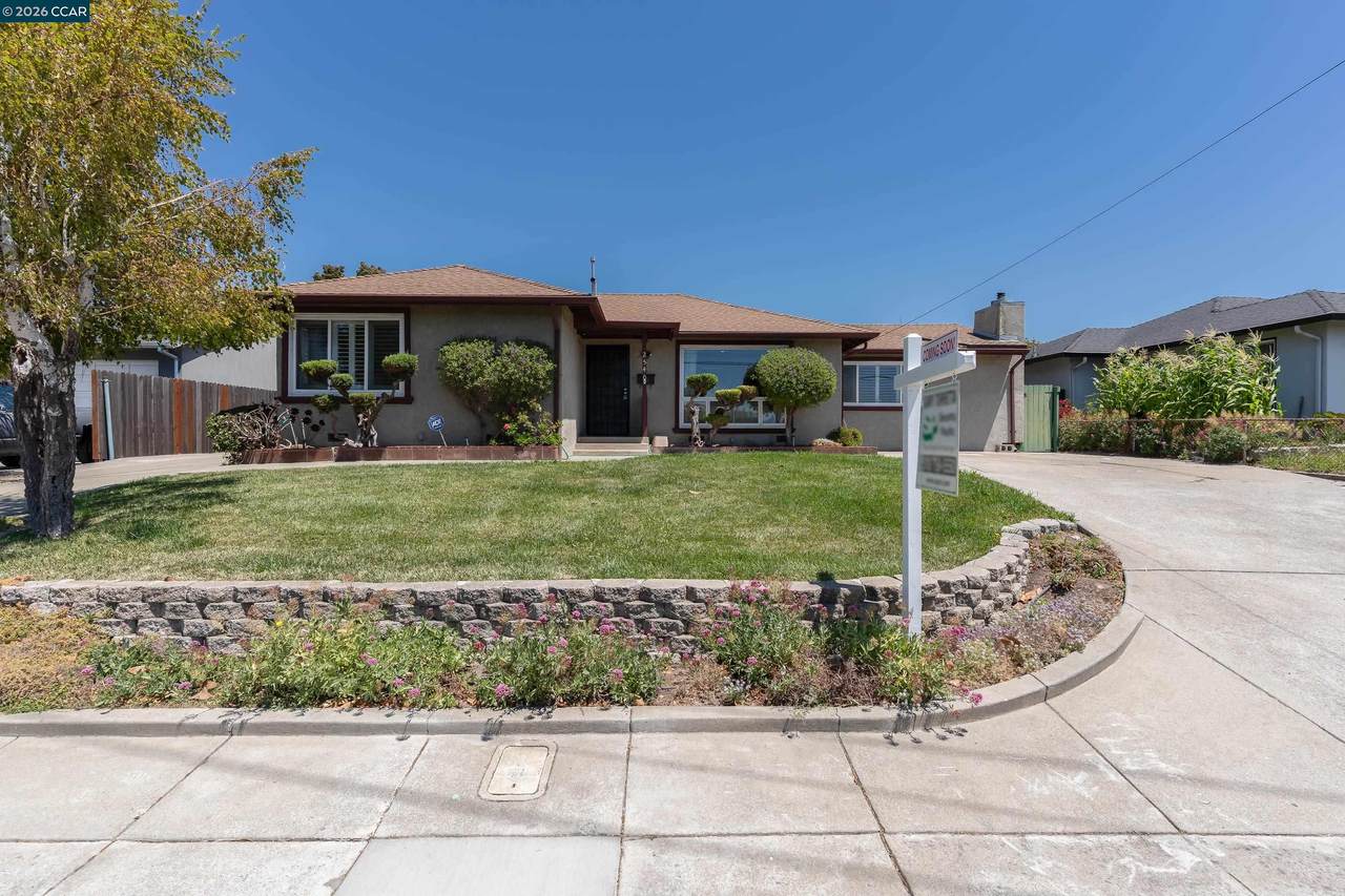 2540 Tara Hills Drive - Photo 1