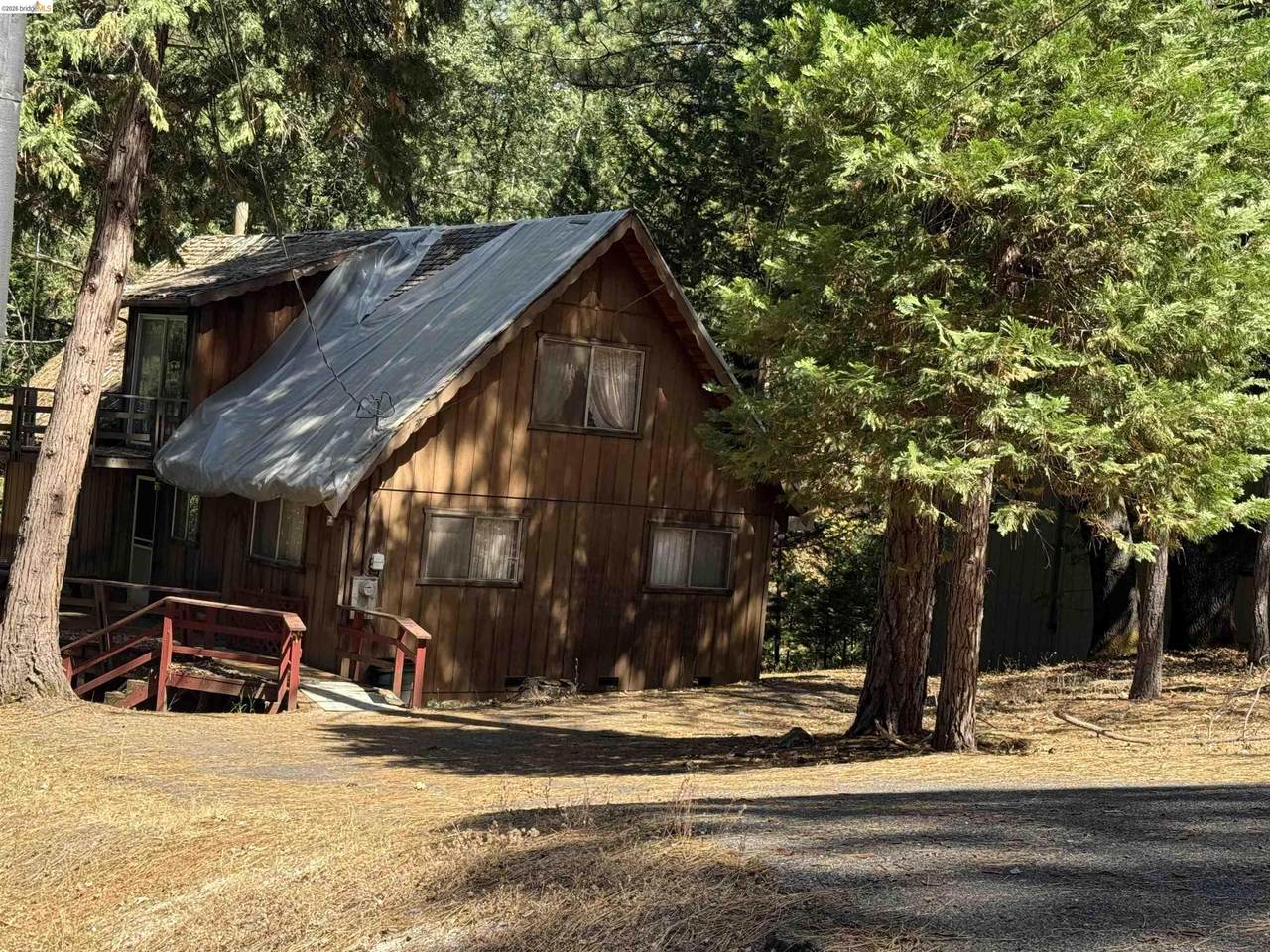 19557 Butler Way - Photo 1