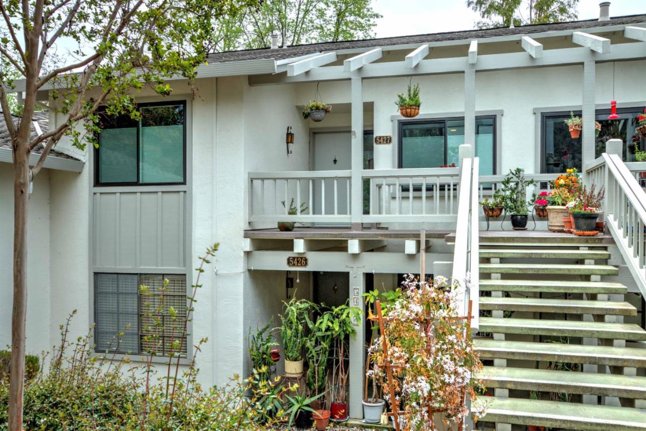 5427 Cribari Ct - Photo 1