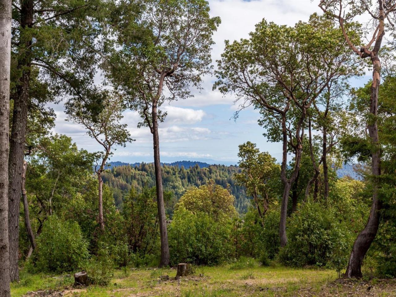 16330 Old Ranch Rd - Photo 1