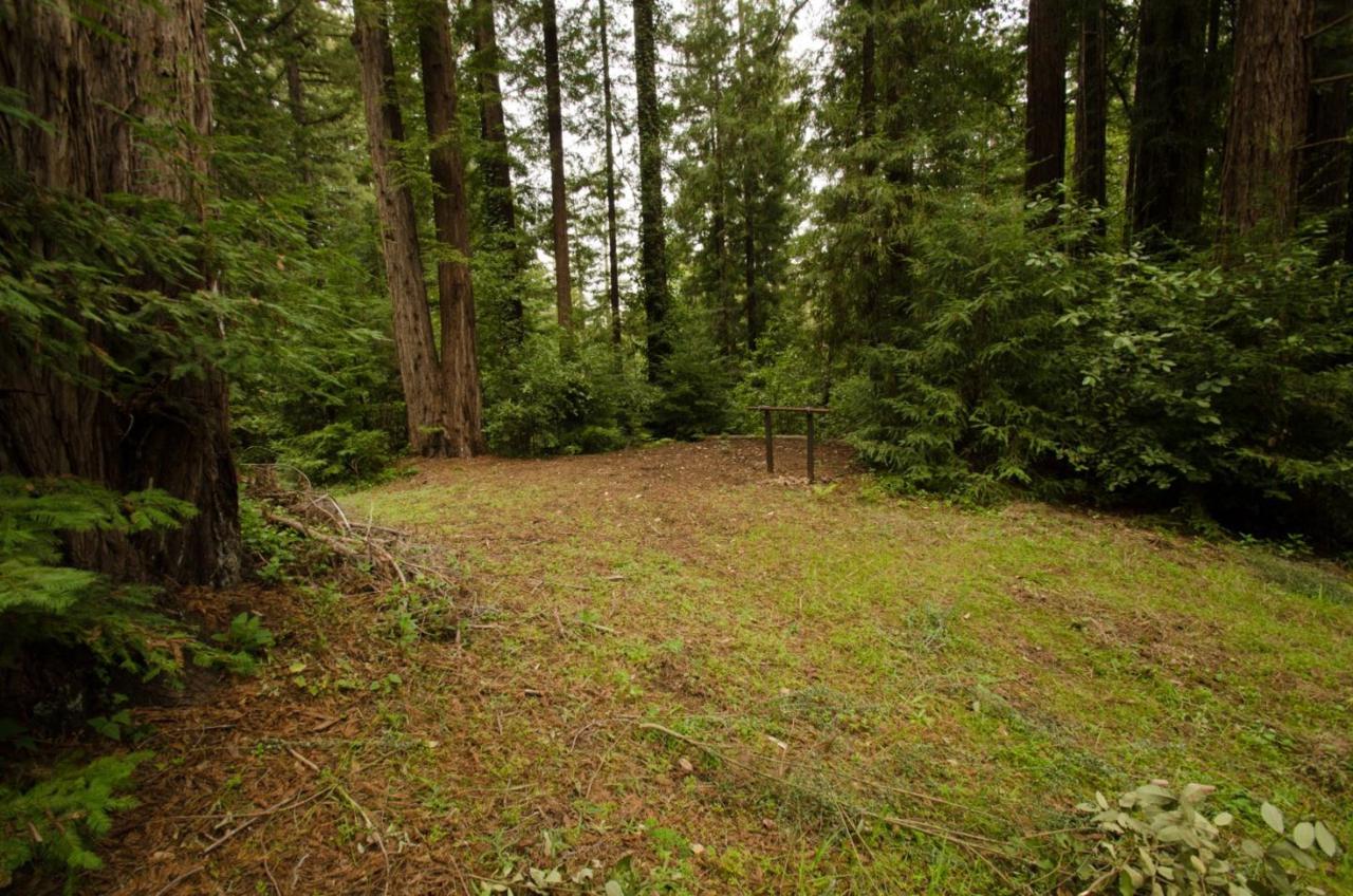 14985 Fern Ave - Photo 1