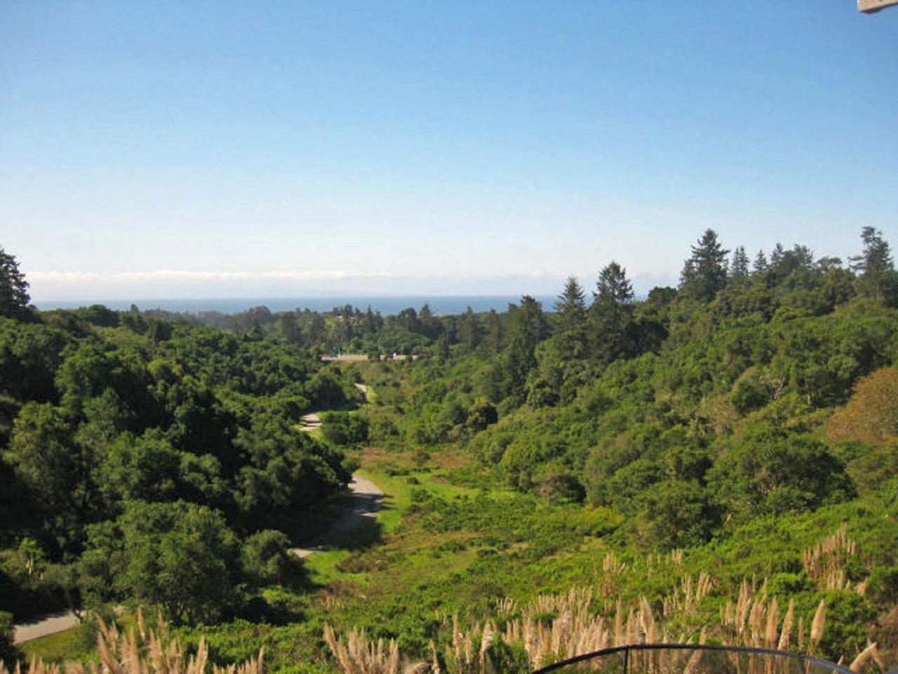 0 Moon Valley Ranch Rd - Photo 1