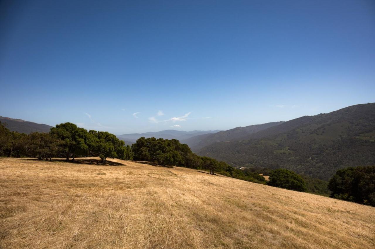 27650 Via Quintana - Photo 1