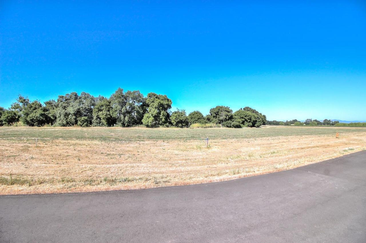 235 Pacheco Creek Ln - Photo 1