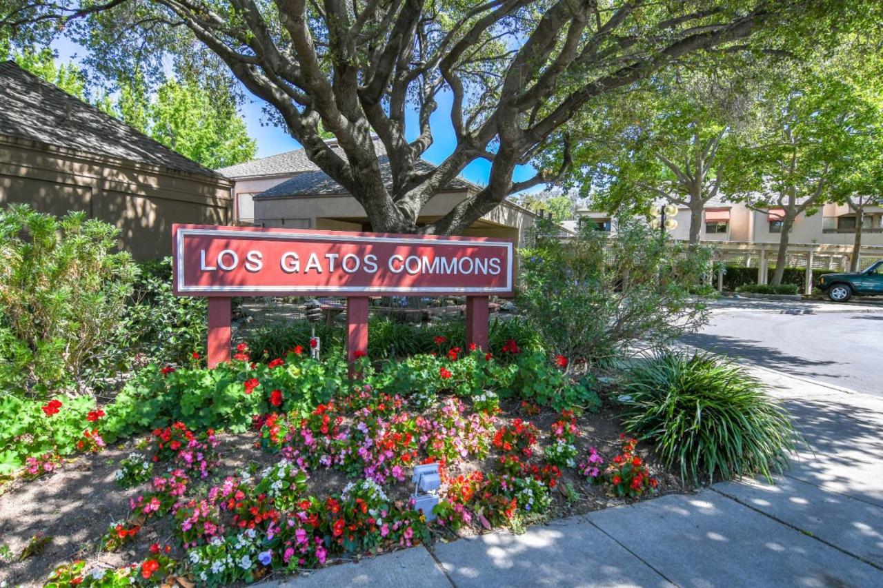 443 Alberto Way B221 - Photo 1