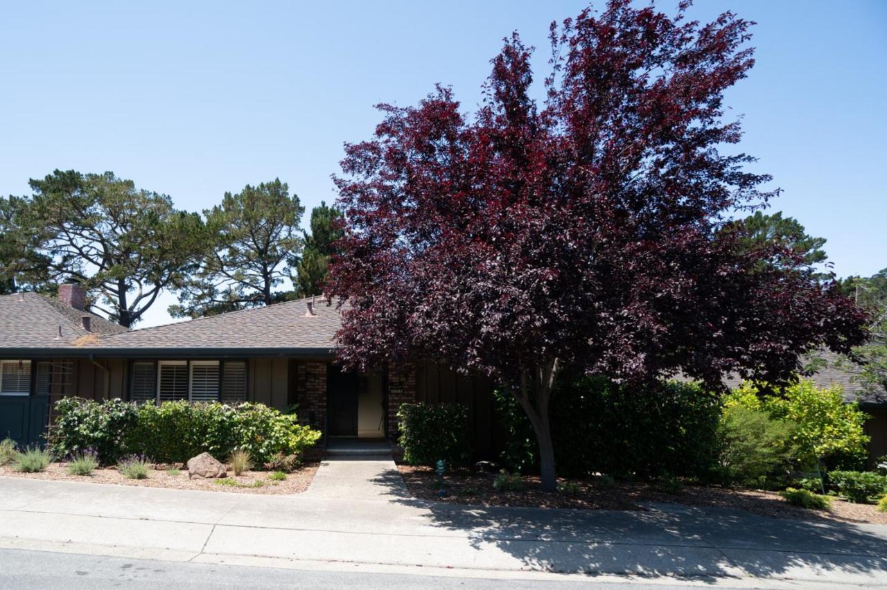280 Del Mesa Carmel - Photo 1