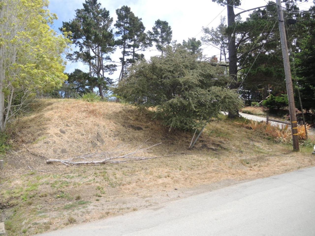 0 Ferdinand Ave - Photo 1