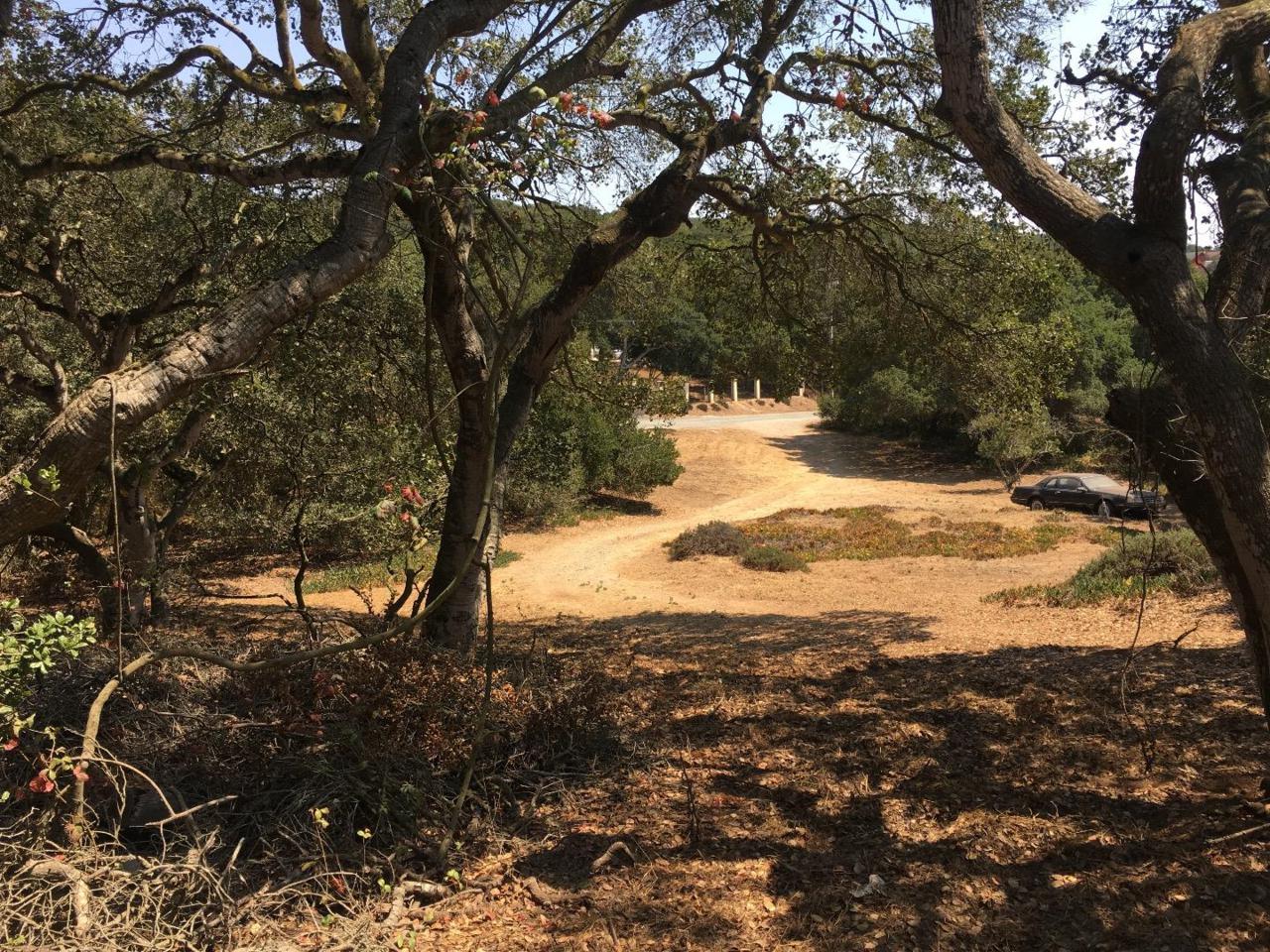 1148 Via Del Sol Rd - Photo 1